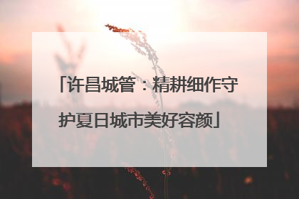许昌城管：精耕细作守护夏日城市美好容颜