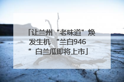 让兰州“老味道”焕发生机 “兰白946”白兰瓜即将上市