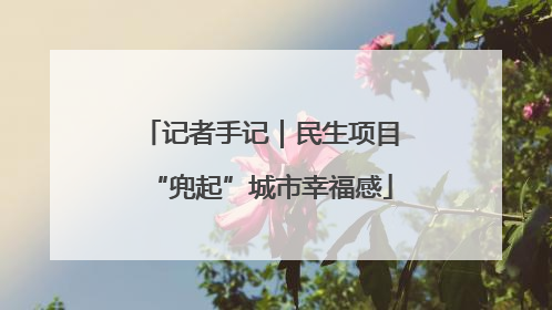 记者手记｜民生项目“兜起”城市幸福感