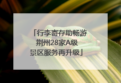 行李寄存助畅游 荆州28家A级景区服务再升级