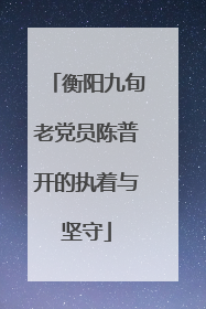 衡阳九旬老党员陈普开的执着与坚守