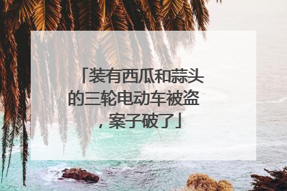 装有西瓜和蒜头的三轮电动车被盗，案子破了
