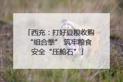 西充：打好夏粮收购“组合拳” 筑牢粮食安全“压舱石”