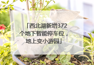 西北湖新增372个地下智能停车位，地上变小游园
