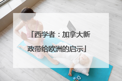 西学者：加拿大新政带给欧洲的启示