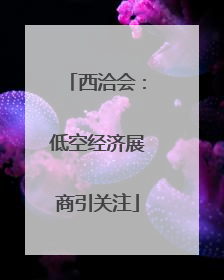 西洽会：低空经济展商引关注