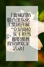 襄城消防联合泽东化工集团开展“立足岗位，实干担当”履职观教育党建联学活动