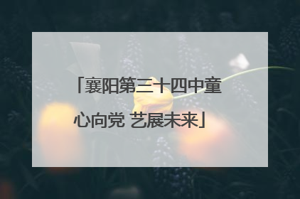 襄阳第三十四中童心向党 艺展未来