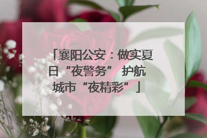 襄阳公安：做实夏日“夜警务” 护航城市“夜精彩”
