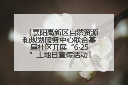 襄阳高新区自然资源和规划服务中心联合基层社区开展“6·25”土地日宣传活动