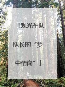 观光车队队长的“梦中情岗”