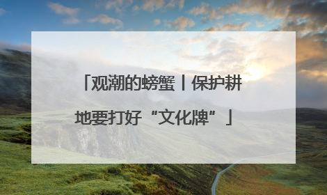 观潮的螃蟹丨保护耕地要打好“文化牌”