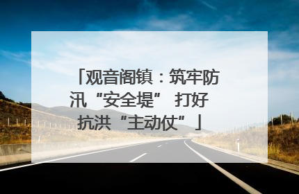 观音阁镇：筑牢防汛“安全堤” 打好抗洪“主动仗”
