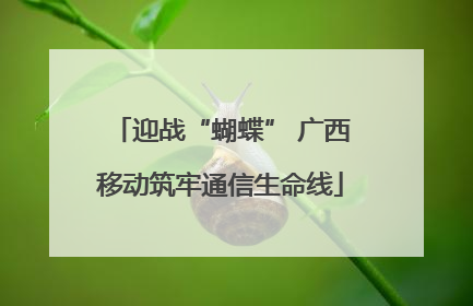 迎战“蝴蝶” 广西移动筑牢通信生命线