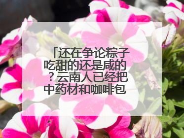 还在争论粽子吃甜的还是咸的？云南人已经把中药材和咖啡包进粽子了……
