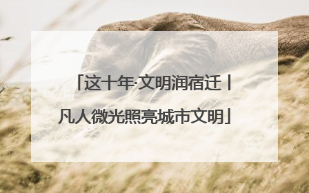 这十年·文明润宿迁丨凡人微光照亮城市文明