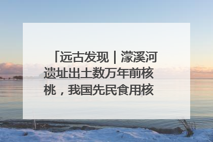 远古发现｜濛溪河遗址出土数万年前核桃，我国先民食用核桃历史大幅提前