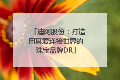 迪阿股份：打造用真爱连接世界的珠宝品牌DR