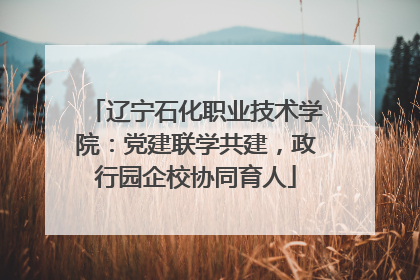 辽宁石化职业技术学院：党建联学共建，政行园企校协同育人
