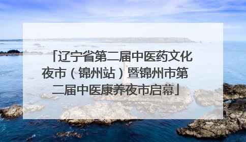 辽宁省第二届中医药文化夜市（锦州站）暨锦州市第二届中医康养夜市启幕