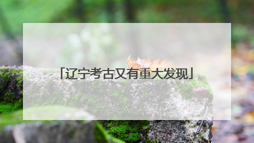 辽宁考古又有重大发现