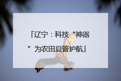 辽宁：科技“神器”为农田夏管护航