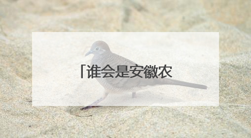 谁会是安徽农业出口的下一个NO.1？