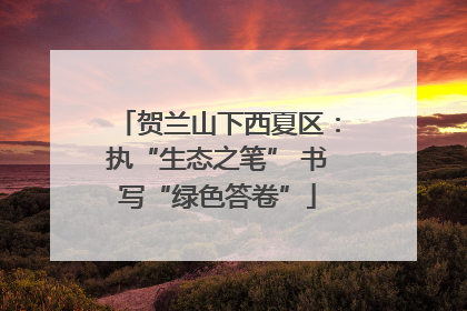 贺兰山下西夏区：执“生态之笔” 书写“绿色答卷”