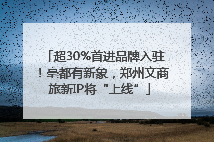 超30%首进品牌入驻！亳都有新象，郑州文商旅新IP将“上线”
