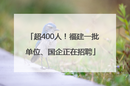 超400人！福建一批单位、国企正在招聘