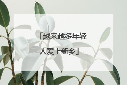 越来越多年轻人爱上新乡