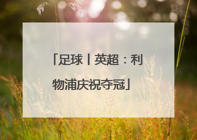足球丨英超：利物浦庆祝夺冠