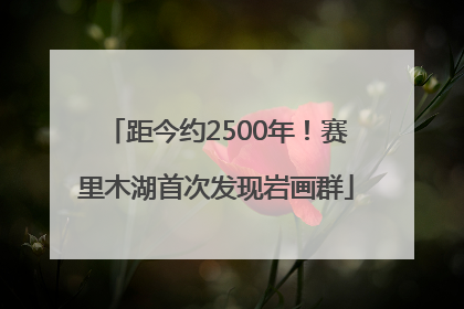 距今约2500年！赛里木湖首次发现岩画群