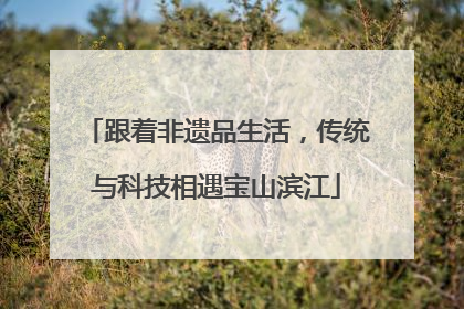 跟着非遗品生活，传统与科技相遇宝山滨江