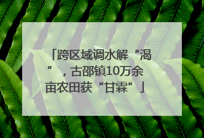 跨区域调水解“渴”，古邵镇10万余亩农田获“甘霖”