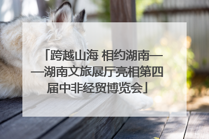 跨越山海 相约湖南——湖南文旅展厅亮相第四届中非经贸博览会