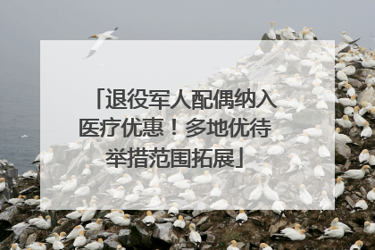 退役军人配偶纳入医疗优惠！多地优待举措范围拓展