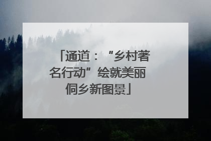 通道：“乡村著名行动”绘就美丽侗乡新图景