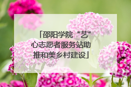 邵阳学院“艺”心志愿者服务站助推和美乡村建设