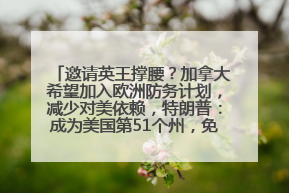 邀请英王撑腰？加拿大希望加入欧洲防务计划，减少对美依赖，特朗普：成为美国第51个州，免费用“金穹”