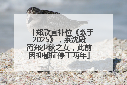 郑欣宜补位《歌手2025》，系沈殿霞郑少秋之女，此前因抑郁症停工两年