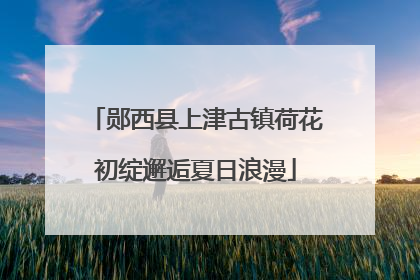 郧西县上津古镇荷花初绽邂逅夏日浪漫