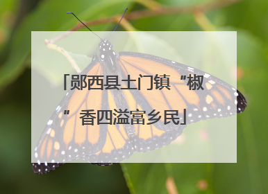 郧西县土门镇“椒”香四溢富乡民