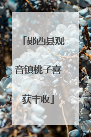 郧西县观音镇桃子喜获丰收