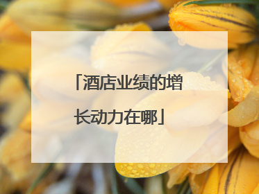 酒店业绩的增长动力在哪
