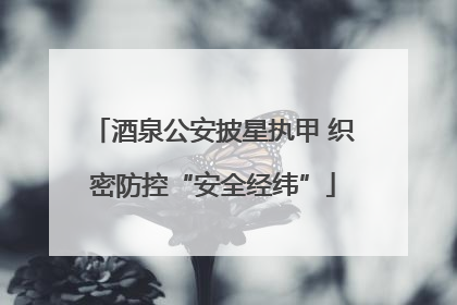 酒泉公安披星执甲 织密防控“安全经纬”
