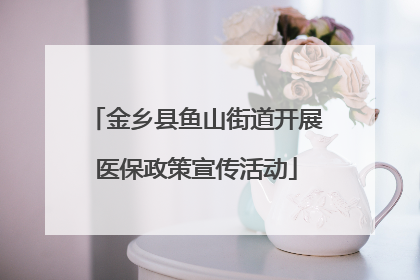 金乡县鱼山街道开展医保政策宣传活动