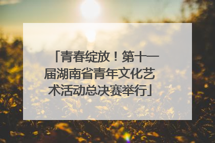 青春绽放！第十一届湖南省青年文化艺术活动总决赛举行