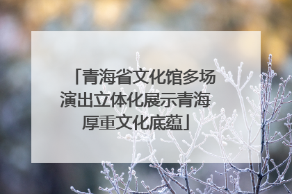 青海省文化馆多场演出立体化展示青海厚重文化底蕴