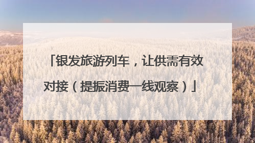 银发旅游列车，让供需有效对接（提振消费一线观察）